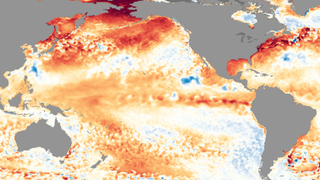 Un nuevo fenómeno El Niño es inminente, esto es lo que significa para Estados Unidos<em></em>